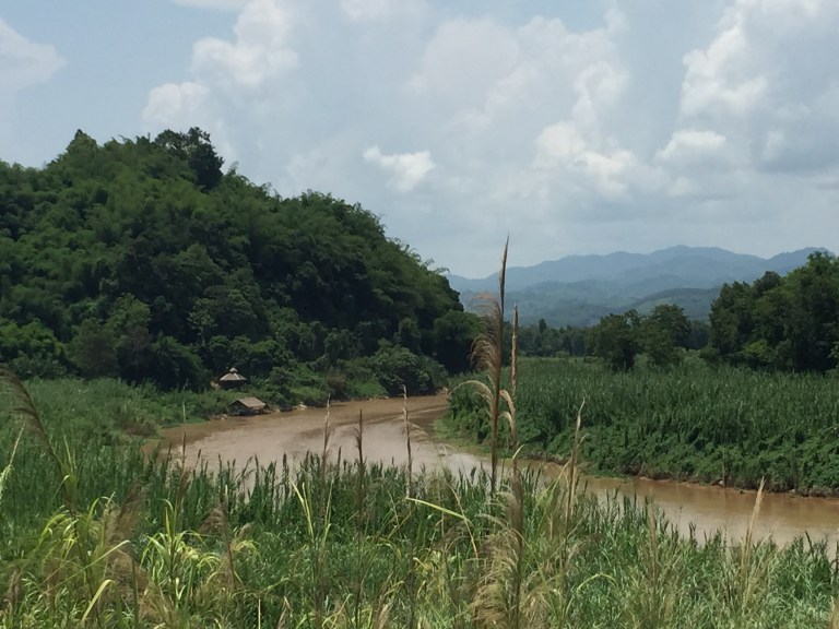 Ruak River looking upstream to the north. 