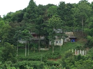View from the Mae Kok River